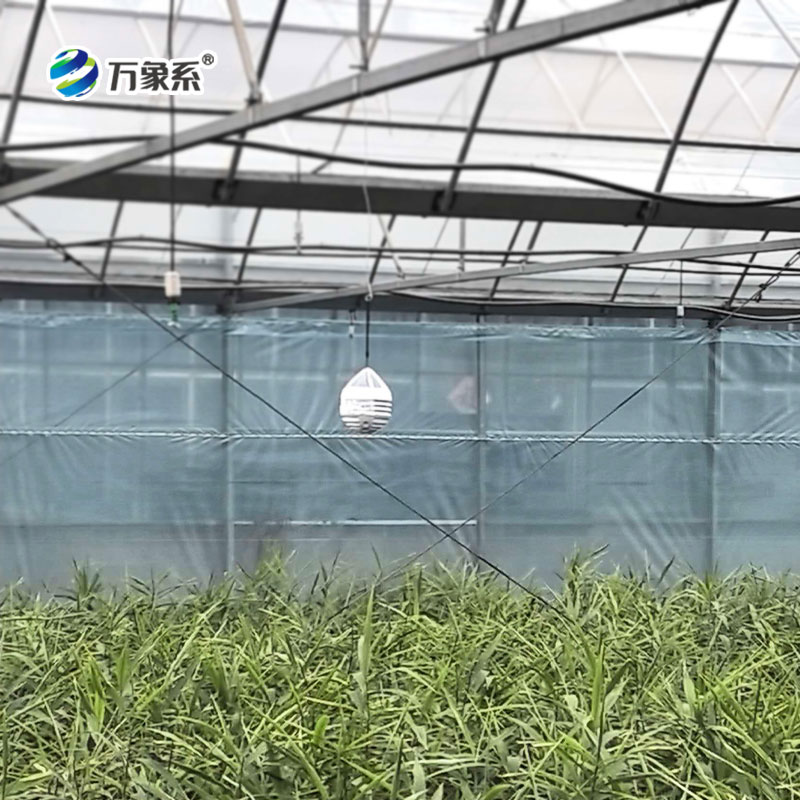 大棚水滴气象仪安装案例