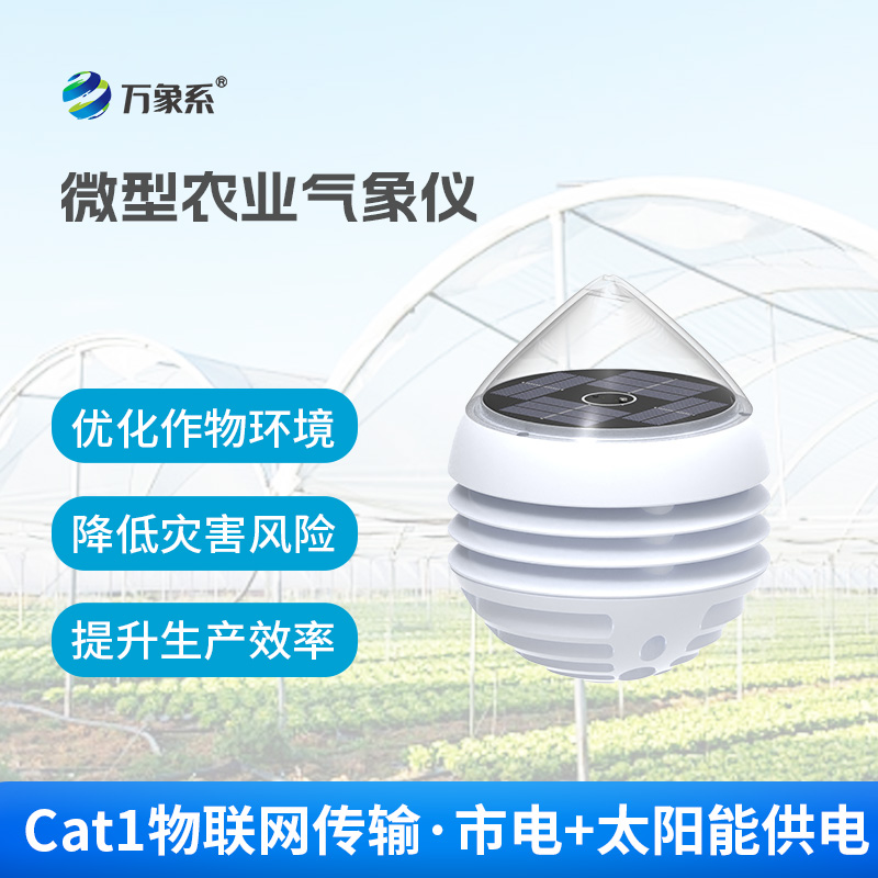 微型农业气象仪